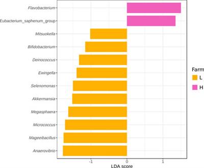 Contribution of farms to the microbiota in the swine value chain